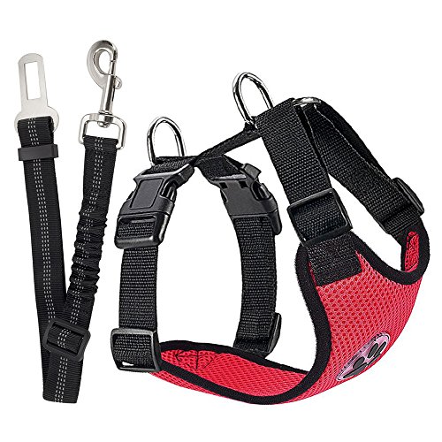 SlowTon No-Pull-Hundegeschirr einstellbar weich Brustgeschirr sicher Kontrolle Softgeschirr Hunde Geschirr bequem für Hunde Haustier mit Premium Hunde-Sicherheitsgurt Auto Sicherheitsgurt Anschnallgurt Nylon Gurt Idealer Autogurt-Adapter für Hunde-Geschirr oder Halsband, Leine Halsband Geschirr Set M (15-25kg), Rot SlowTon No-Pull-Hundegeschirr einstellbar weich Brustgeschirr sicher Kontrolle Softgeschirr Hunde Geschirr bequem für Hunde Haustier mit Premium Hunde-Sicherheitsgurt Auto Sicherheitsgurt Anschnallgurt Nylon Gurt Idealer Autogurt-Adapter für Hunde-Geschirr oder Halsband, Leine Halsband Geschirr Set M (15-25kg), Rot von SlowTon