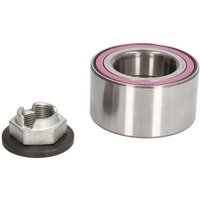 Radlagersatz SNR R170.42 Radlagersatz SNR R170.42 von Snr