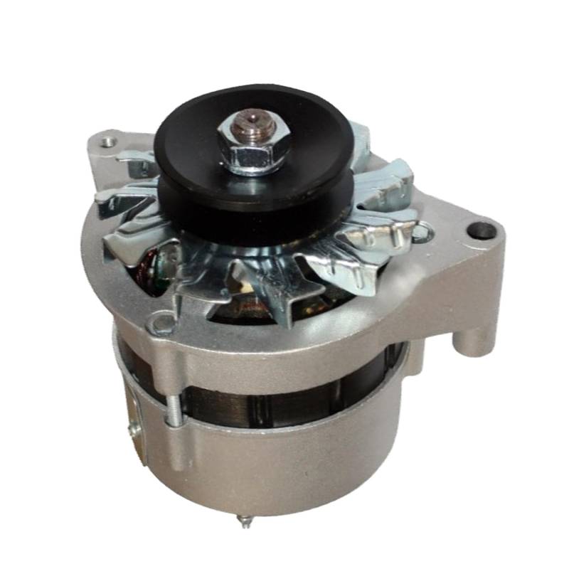 Sogoparts 2409002310024 Lichtmaschine kompatibel mit Quanchai Motor QC490GP 490B von Sogoparts