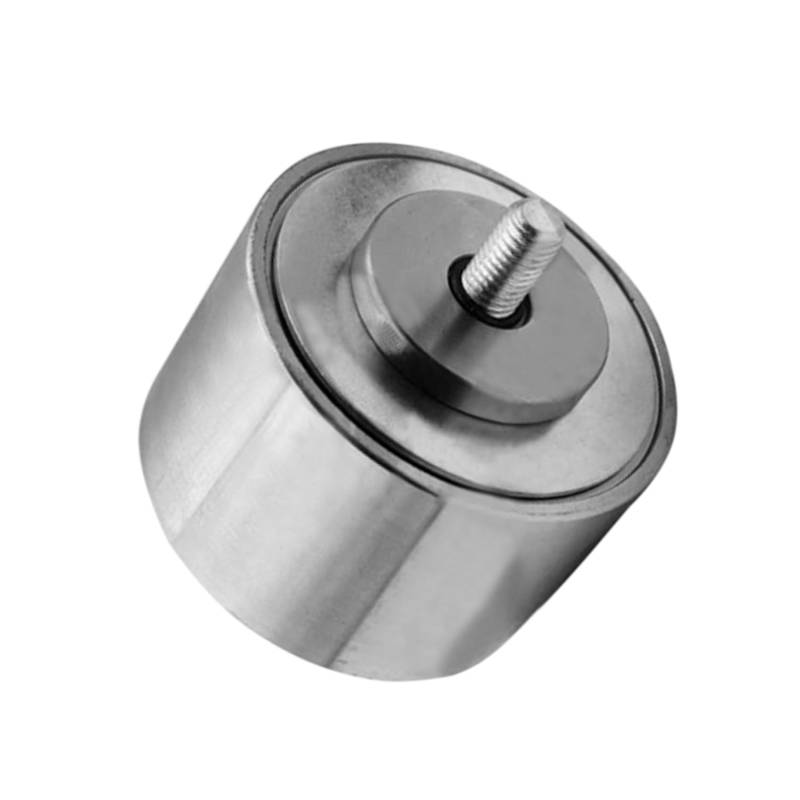 Sogoparts 504356034 Riemenspannrolle, kompatibel mit Koffermotor F2CE9684C E020, kompatibel mit New Holland Motor F2CE9684A E022 F2CE9684B E021 F2CE9684C E020 von Sogoparts