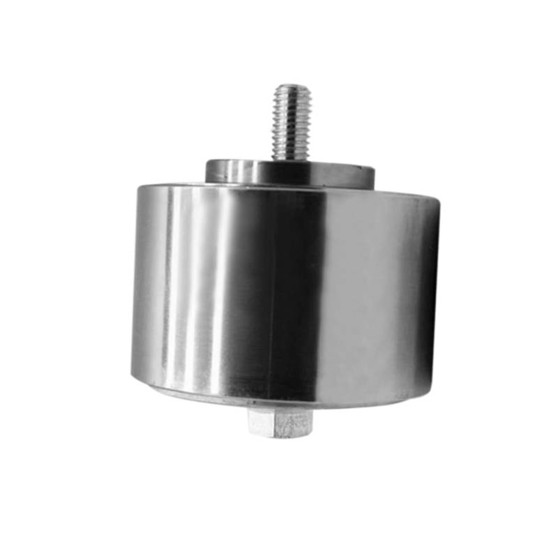 Sogoparts Riemenspannrolle 504356034 00000504356034 kompatibel mit New Holland Motor F2CE9684A E022 F2CE9684B E021 F2CE9684C E020 Kompatibel mit Gehäuse Motor F2CE9684C E020 von Sogoparts