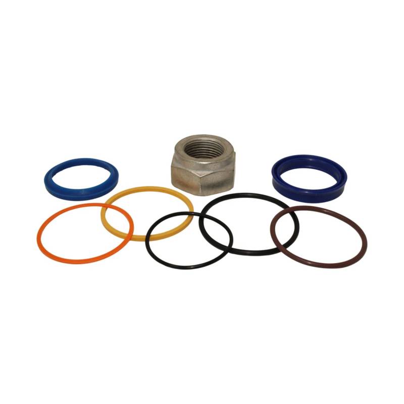 Sogoparts Zylinderdichtungssatz 7137869 7135489 kompatibel mit Bobcat Loader S630 T630 A300 S250 S300 S330 T300 T320 T250 S175 S185 S205 T190 von Sogoparts