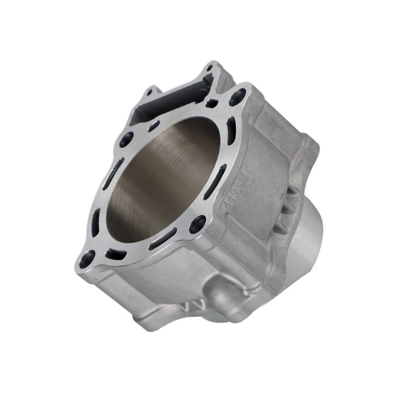 Sogoparts Zylinderkopf 12100-MEB-670 12100-MEN-671, kompatibel mit Honda Motor CRF450R CRF450 2002-2008 von Sogoparts