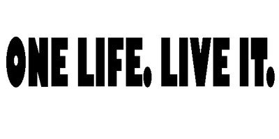 South Coast Stickers One Life Live it (Style 1) Sticker Funny Bumper Sticker CAR Van 4X4 Window PAINTWORK Decal Euro Laptop Drive von South Coast Stickers