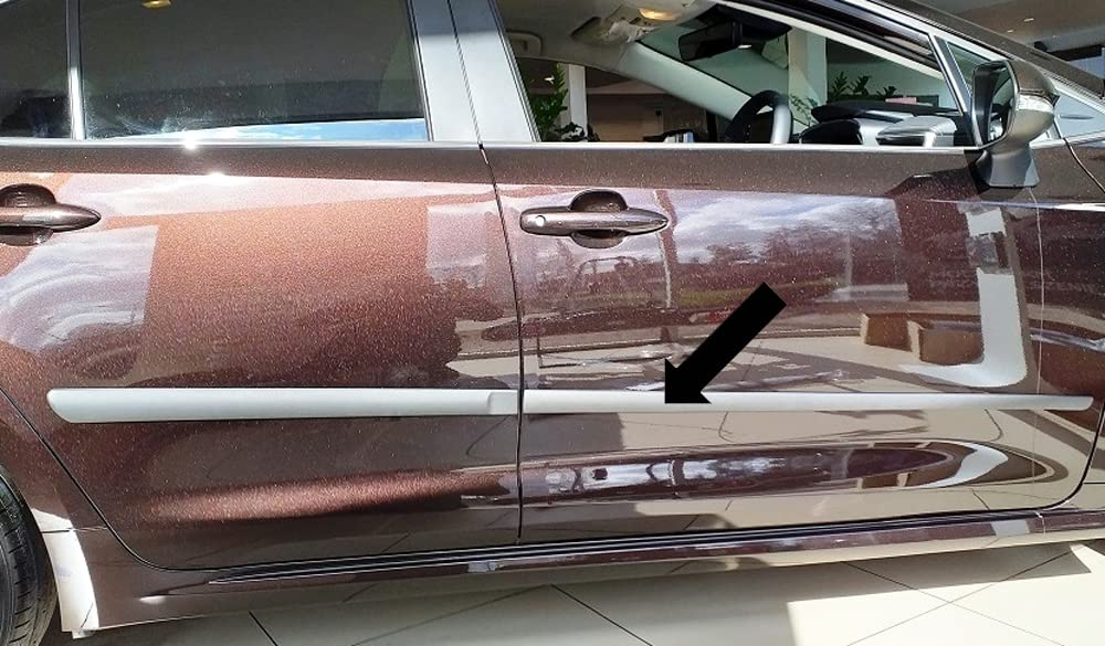 Spangenberg Seitenschutzleisten schwarz kompatibel mit Suzuki Swace ab Baujahr 11.2020- F16/20 Spangenberg Seitenschutzleisten schwarz kompatibel mit Suzuki Swace ab Baujahr 11.2020- F16/20 von Spangenberg