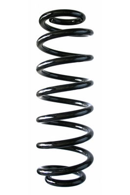 Fahrwerksfeder Hinterachse Spidan 87350 Fahrwerksfeder Hinterachse Spidan 87350 von Spidan