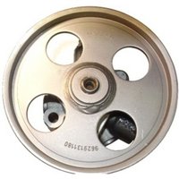 Hydraulische Lenkgetriebepumpe SPIDAN 53576 von Spidan