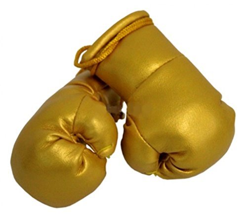 Sportfanshop24 Mini Boxhandschuhe Gold, 1 Paar (2 Stück) Miniboxhandschuhe z. B. für Auto-Innenspiegel von Sportfanshop24