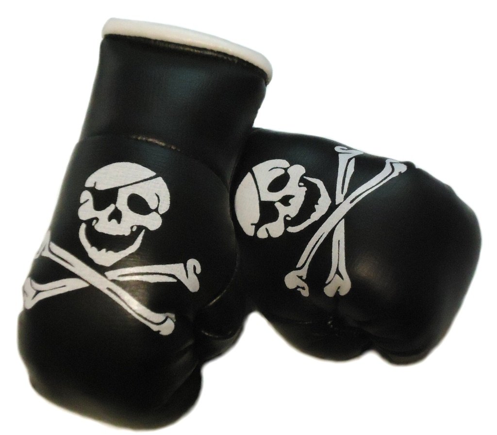 Sportfanshop24 Mini Boxhandschuhe Totenkopf/Pirat/Skull, 1 Paar (2 Stück) Miniboxhandschuhe z. B. für Auto-Innenspiegel von Sportfanshop24