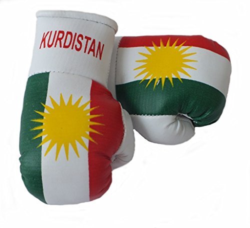 Sportfanshop24 Mini Boxhandschuhe Kurdistan, 1 Paar (2 Stück) Miniboxhandschuhe z. B. für Auto-Innenspiegel von Sportfanshop24