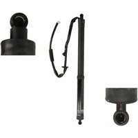 Elektromotor, Heckklappe STABILUS POWERISE® 587748 von Stabilus