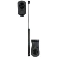 Gasfeder, Koffer-/Laderaum STABILUS 012552 Gasfeder, Koffer-/Laderaum STABILUS 012552 von Stabilus