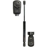 Gasfeder, Koffer-/Laderaum STABILUS STA4256IY Gasfeder, Koffer-/Laderaum STABILUS STA4256IY von Stabilus