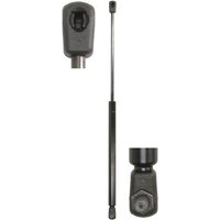 Gasfeder, Koffer-/Laderaum STABILUS STA449881 Gasfeder, Koffer-/Laderaum STABILUS STA449881 von Stabilus