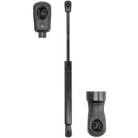 Gasfeder, Motorhaube STABILUS 2446YW Gasfeder, Motorhaube STABILUS 2446YW von Stabilus