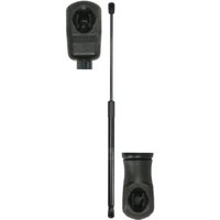 Gasfeder, Motorhaube STABILUS 712941 Links Gasfeder, Motorhaube STABILUS 712941 Links von Stabilus