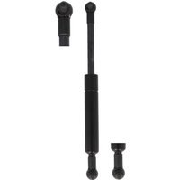 Gasfeder STABILUS STA2029LS Gasfeder STABILUS STA2029LS von Stabilus