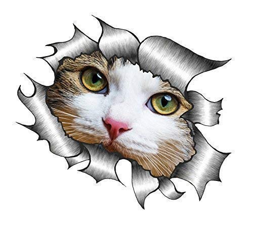 Sticar-it Ltd Zerrissenes Metall Auto Aufkleber Süß Katze Kätzchen mit Weißen Gesicht Peeping Haustier Vinyl Aufkleber (Klein 105x130mm) von Sticar-it Ltd