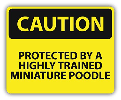 10cm! Klebe-Folie Wetterfest Made-IN-Germany Danger Caution Achtung Vorsicht Protected Highly Trained Miniature Poodle G17 UV&Waschanlagenfest Auto-Aufkleber Sticker Decal von Sticker-Designs