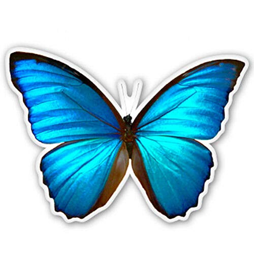 15cm! Klebe-Folie Wetterfest Made-IN-Germany Blauer Morpho Schmetterling L329 UV&Waschanlagenfest Auto-Aufkleber Sticker Decal von Sticker-Designs