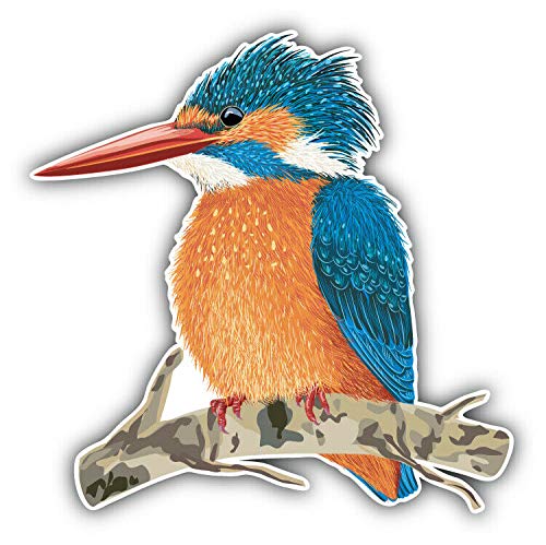 15cm! Klebe-Folie Wetterfest kompatibel für: Eisvogel Vogel H1612 UV&Waschanlagenfest Auto-Aufkleber Sticker Decal von Sticker-Designs