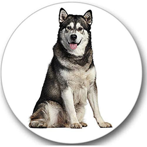 Sticker-Designs 10cm! Klebe-Folie Wetterfest Made-IN-Germany Alaskan Alaskischer Malamute Hund Welpe No229 rund/weißer Hintergrund! UV&Waschanlagenfest Auto-Aufkleber Profi-Qualität! von Sticker-Designs