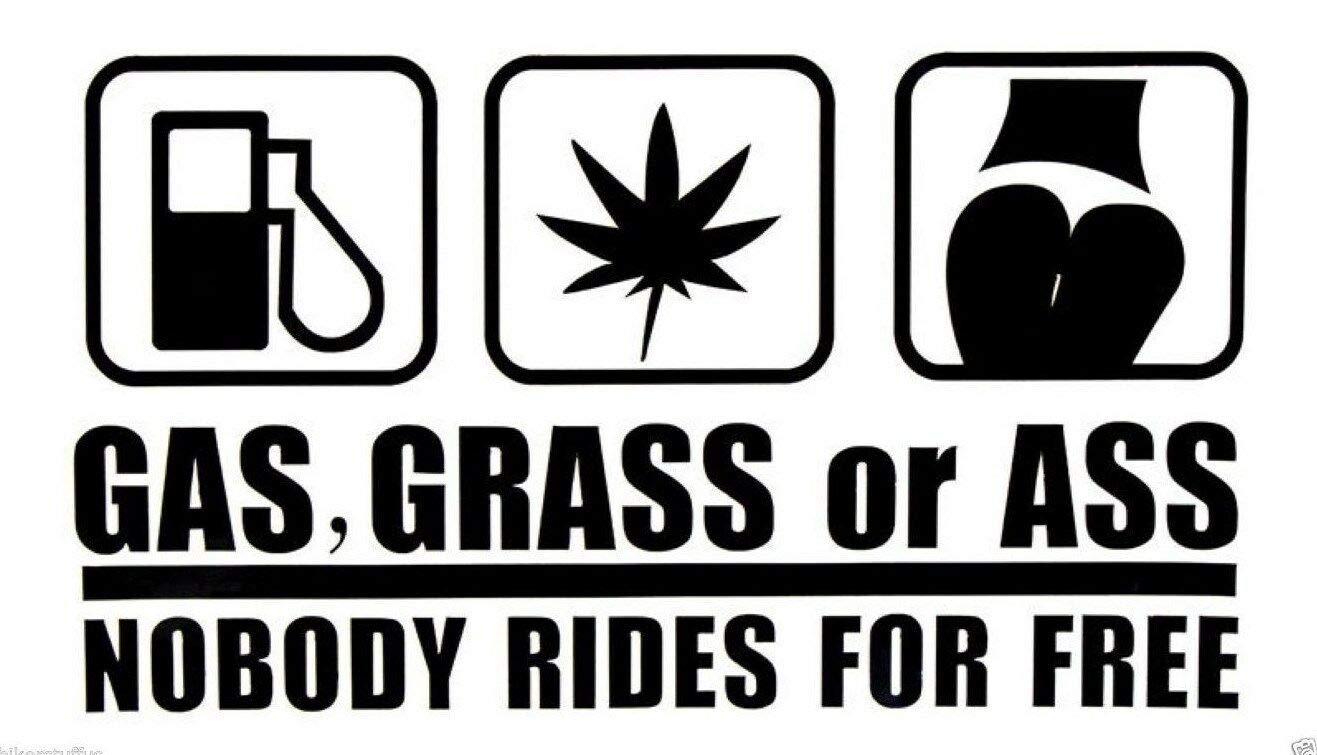 Sticker-Designs 10cm! Klebe-Folie Wetterfest Made-IN-Germany Gas Grass OR Ass Nobody Rides for Free UV&Waschanlagenfest Auto-Aufkleber Profi-Qualität! F1824 Sticker-Designs 10cm! Klebe-Folie Wetterfest Made-IN-Germany Gas Grass OR Ass Nobody Rides for Free UV&Waschanlagenfest Auto-Aufkleber Profi-Qualität! F1824 von Homry