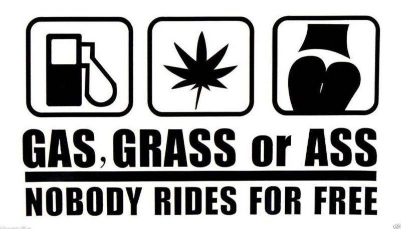 Sticker-Designs 10cm! Klebe-Folie Wetterfest Made-IN-Germany Gas Grass OR Ass Nobody Rides for Free UV&Waschanlagenfest Auto-Aufkleber Profi-Qualität! F1824 von Homry
