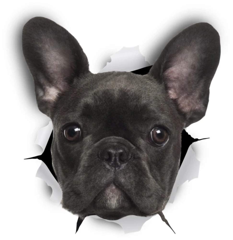 Sticker-Designs 10cm! Klebe-Folie Wetterfest Made-IN-Germany schwarz French Bulldog Französische Bulldogge Hund D799 UV&Waschanlagenfest Auto-Aufkleber Profi-Qualität! Sticker-Designs 10cm! Klebe-Folie Wetterfest Made-IN-Germany schwarz French Bulldog Französische Bulldogge Hund D799 UV&Waschanlagenfest Auto-Aufkleber Profi-Qualität! von FOXCUP