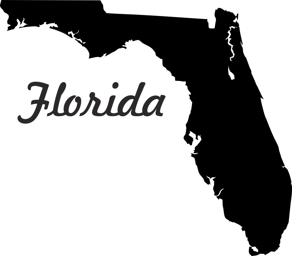 2X Auto Aufkleber Florida US Bundestaat Sticker (ca. 11 cm) konturgeschnitten (Silber) von Stickerpalast