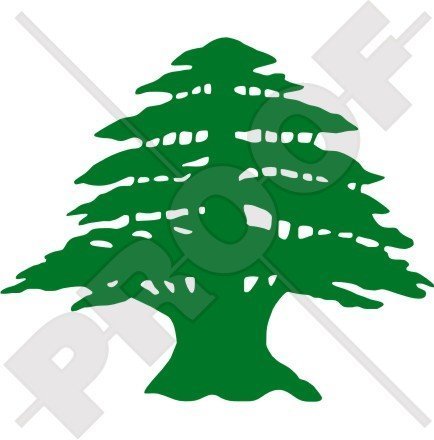 LIBANON CEDAR Form Libanesischer Cedrus Libani Baum 125mm Auto & Motorrad Aufkleber, Vinyl Stickers- WAHL VON 22 FARBEN von StickersWorld