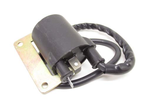 Zündspule Extern Außen liegend passend für Piaggio Ciao Sfera TPH/Puch Maxi/Hercules/Kreidler Zündapp von Streetparts 24