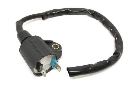 Streetparts 24 Zündspule für Motorräder, passend für CPI Aragon Hussar Oliver Popcorn/Keeway RY 6 8 / Generic XOR Streetparts 24 Zündspule für Motorräder, passend für CPI Aragon Hussar Oliver Popcorn/Keeway RY 6 8 / Generic XOR von Streetparts 24