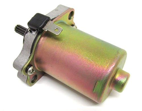 Anlasser Motor 11 Zähne – E-Starter passend für Peugeot Speedfight 1/2, Vivacity, Trekker, Ludix, Piaggio NRG, Vespa ET2, Kymco DJ, Derbi GP1, Honda Dio und viele weitere Roller (50–125ccm) Anlasser Motor 11 Zähne – E-Starter passend für Peugeot Speedfight 1/2, Vivacity, Trekker, Ludix, Piaggio NRG, Vespa ET2, Kymco DJ, Derbi GP1, Honda Dio und viele weitere Roller (50–125ccm) von Streetparts24
