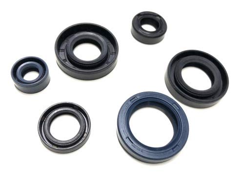 Simmerringe Kurbelwelle 6-teilig passend für Minarelli AM6 – geeignet für Aprilia RS RX MX Tuono 50, Beta RR, Generic Trigger, MBK X-Limit, Malaguti, HM, Fantic, Husqvarna 50 ccm von Streetparts24