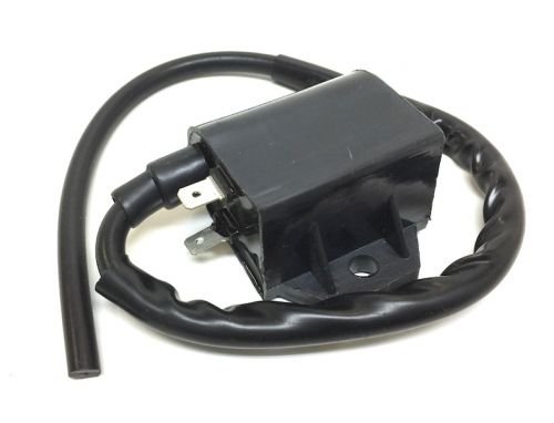 AH AP 50 Address Italjet Formula 50 CDI Zündeinheit Zündspule AH AP 50 Address Italjet Formula 50 CDI Zündeinheit Zündspule von Streetparts24