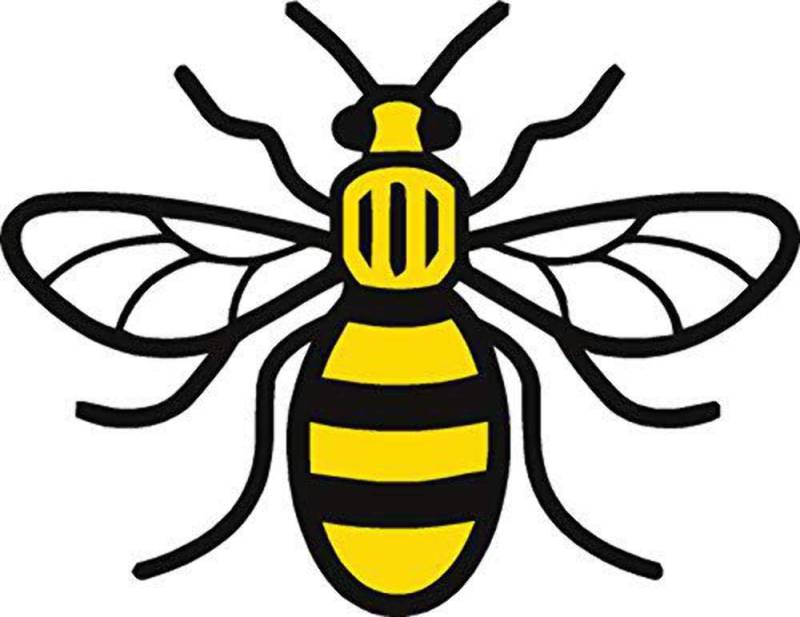 Stukk Stickers Manchester Bee Vinyl-Aufkleber für Auto, Van, Laptop, Schlafzimmer, Mancunian #WeStandTogether von Handmade By Stukk