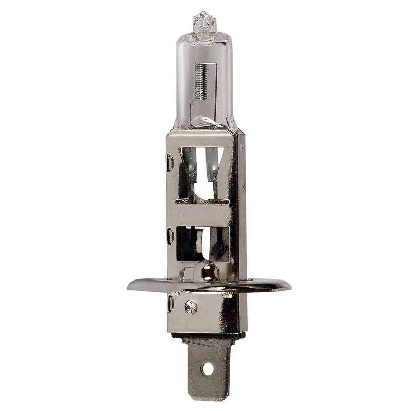 Sumex TES1308 Glühbirne H1, 12 V, 100 W, P14.5S von Sumex (SUME3)