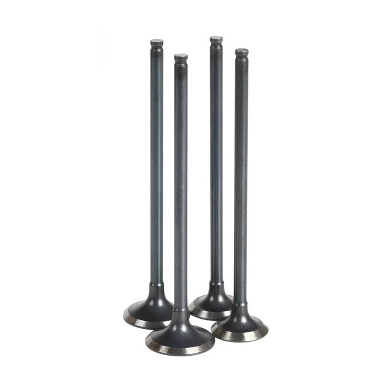 2 Stück Einlassventil, 2 Stück Auslassventil-Kit for GSX250 GSF250 GJ74A GSF GSX 250 74A 3,65 mm Motorenteile von SxcXChAom