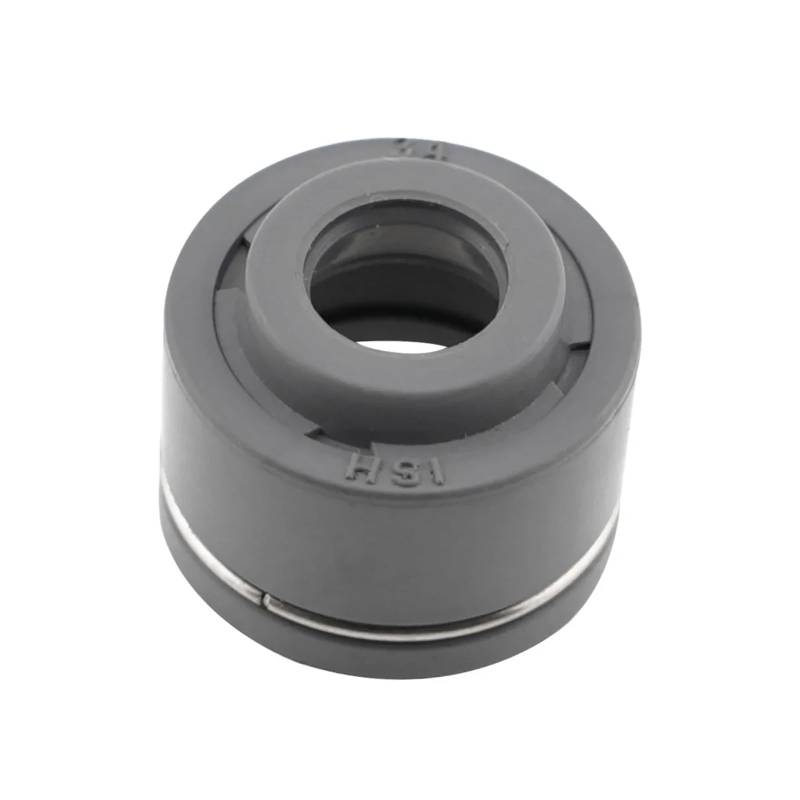Motorrad Motor Dichtung Ventil Stem for Transalp XL600V 1990 Schatten VLX VT600CD Deluxe 1998-2007 VT600C 1991-07 NT700 10-11(1pcs) von SxcXChAom