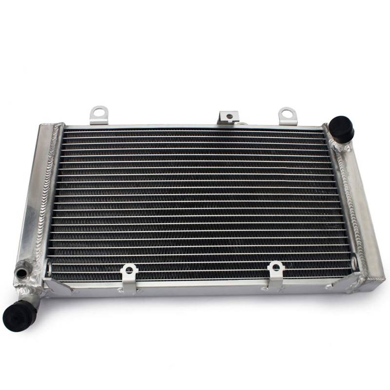 TARAZON Motorrad Aluminum Wasserkühler Motorkühlung Kühler Radiator für Honda CBF 1000 2006-2010 CBF 1000 ABS SC58 SC64 2006-2012 OEM 19010-MFA-D01 von T | TARAZON