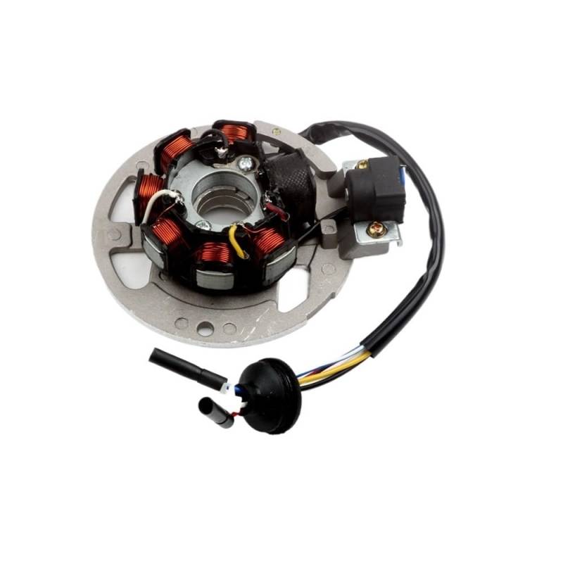 TBUOIUE Stator Spule 7 Spule 6 Draht Roller Spule Magneto Stator Für LJ50QT-F Für LJ50QT-K 50cc AC 2 Hub 1PE40QMB von TBUOIUE