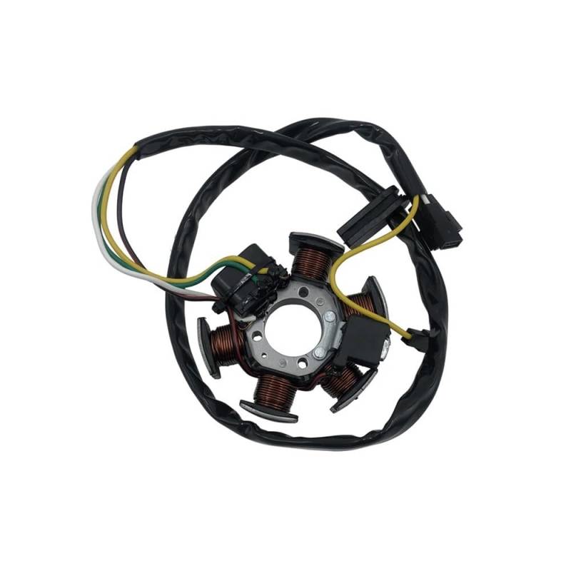TBUOIUE Stator Spule Generator Stator Platte Lichtmaschine Für RS50 Für RX50 Für MX50 Für AM6 50 Für Tuono von TBUOIUE
