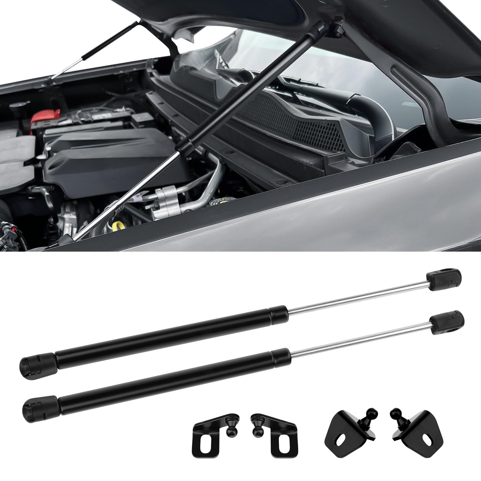 TECHPICCO Motorhaubenheber Unterstützung passend für Chevy Colorado/Canyon GMC 2023 2024, Motorhaubenstrebe ohne Bohren, Gasfedern vorne, kompatibel mit Chevy Colorado/GMC Canyon Zubehör 23+ TECHPICCO Motorhaubenheber Unterstützung passend für Chevy Colorado/Canyon GMC 2023 2024, Motorhaubenstrebe ohne Bohren, Gasfedern vorne, kompatibel mit Chevy Colorado/GMC Canyon Zubehör 23+ von TECHPICCO