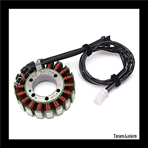 Teram Loisirs Stator Zündung, kompatibel mit: Triumph Sprint St 955 von 2000 2001 2002 2003 2004 von TERAM LOISIRS