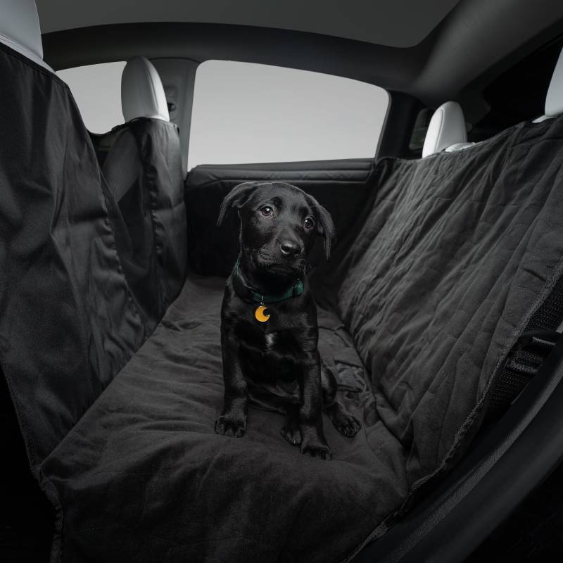 Tesla Modell S/3/Y Pet Liner von TESLA