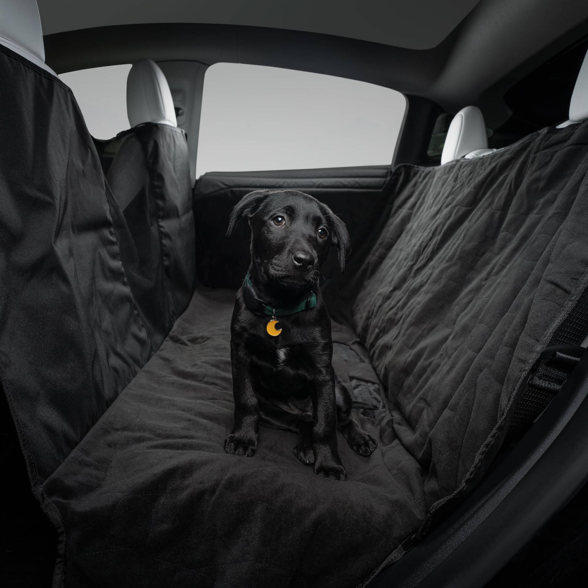 Tesla Modell S/3/Y Pet Liner Tesla Modell S/3/Y Pet Liner von TESLA
