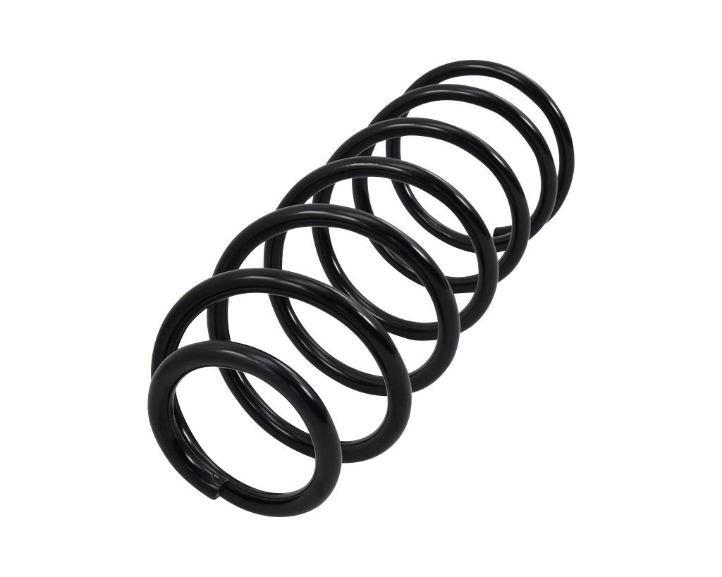 Feder Fahrwerksfeder Set + Vorne Links und Rechts Kompatibel mit Audi A3 VW Golf 4 Variant Bora I Seat Leon Toledo II 1996-2013 von Autoteile Gocht Feder Fahrwerksfeder Set + Vorne Links und Rechts Kompatibel mit Audi A3 VW Golf 4 Variant Bora I Seat Leon Toledo II 1996-2013 von Autoteile Gocht von TEVEMA
