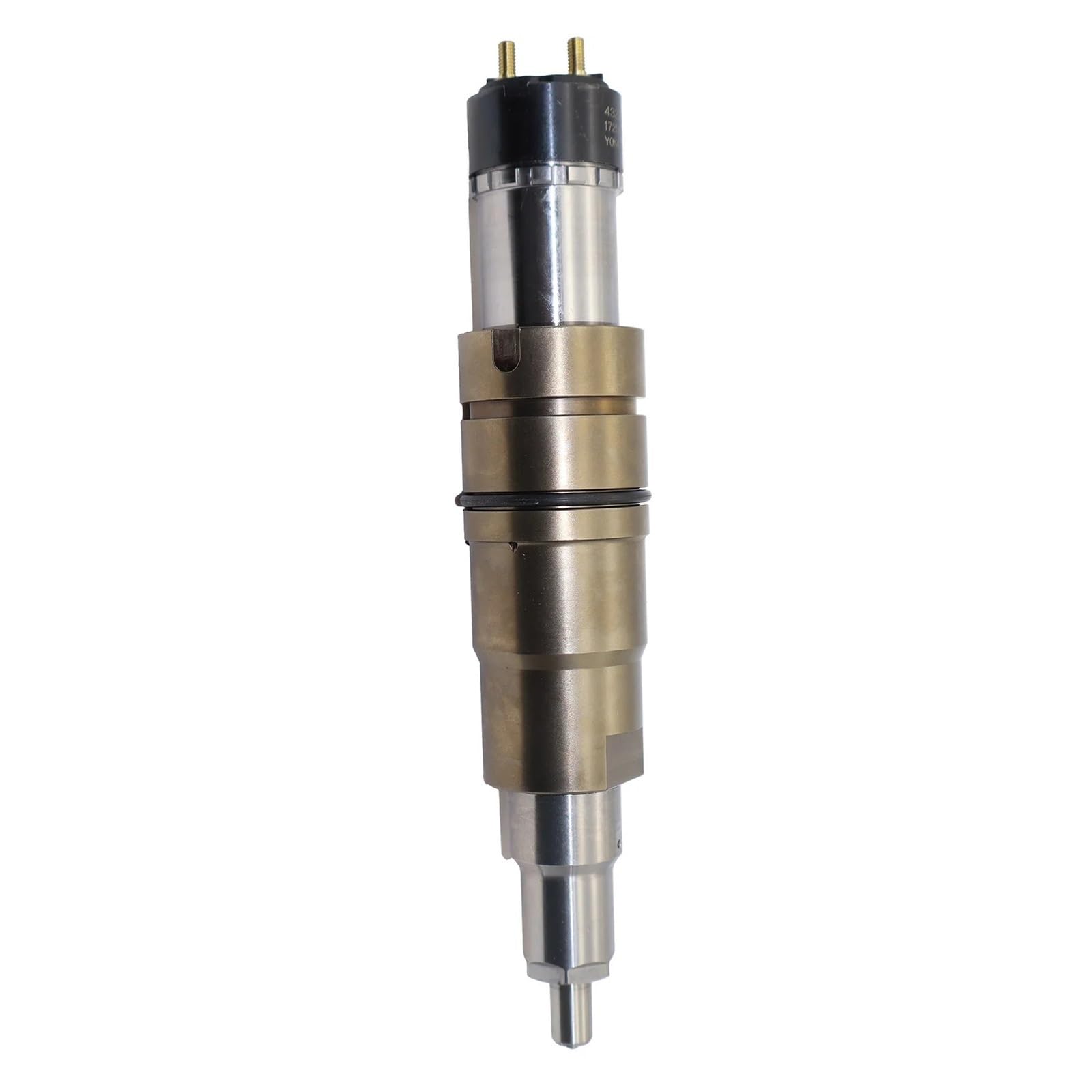 1PCS Kraftstoff Injektor 2894920 5579415 2894920PX 5579415PX Kompatibel for Cummins ISX X15 ISX15 QSX15 ISXE Motor 1PCS Kraftstoff Injektor 2894920 5579415 2894920PX 5579415PX Kompatibel for Cummins ISX X15 ISX15 QSX15 ISXE Motor von TFTYJD