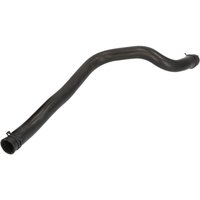Kühlerschlauch THERMOTEC DWV004TT Kühlerschlauch THERMOTEC DWV004TT von Thermotec
